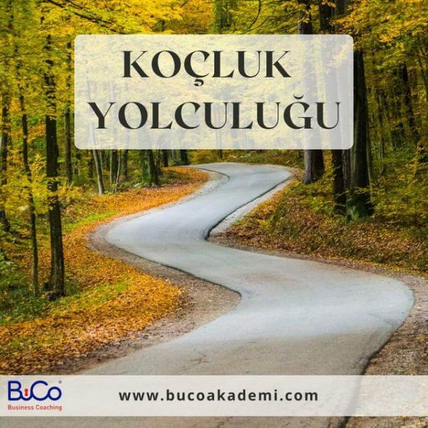 Koçluk